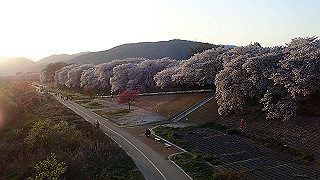 p3304071_thumb.jpg