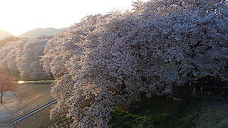 p3304074_thumb.jpg