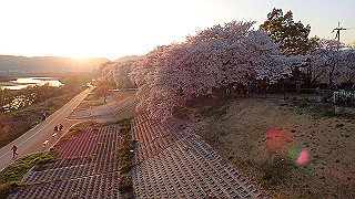 p3304075_thumb.jpg