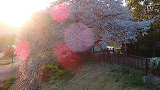 p3304076_thumb.jpg