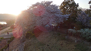 p3304077_thumb.jpg