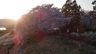 p3304078_thumb.jpg