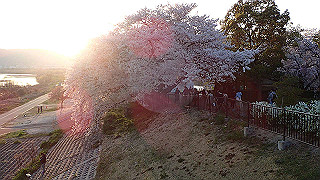 p3304079_thumb.jpg
