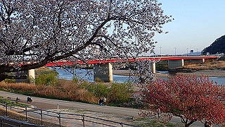 p3304081_thumb.jpg