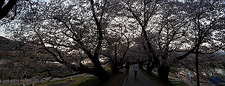 p3304086_thumb.jpg