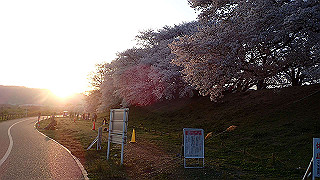 p3304089_thumb.jpg