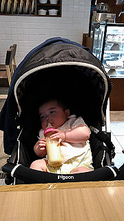 image_010_thumb.jpg