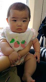 image_011_thumb.jpg