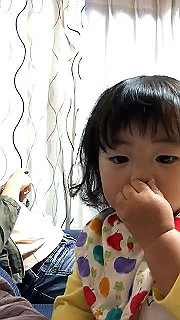 img_0350.mp4_thumb.jpg