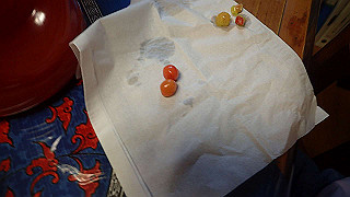 p4290068_thumb.jpg