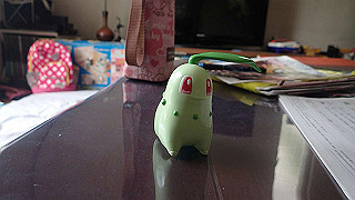 p4300139_thumb.jpg