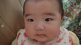 p4300168_thumb.jpg