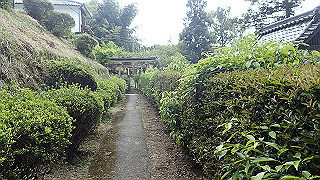 p5010233_thumb.jpg