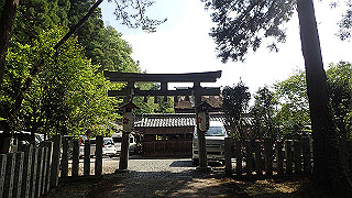 p5010253_thumb.jpg