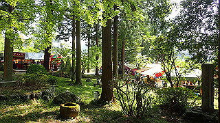 p5010255_thumb.jpg