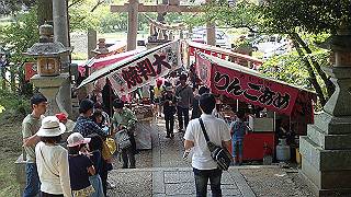 p5010259_thumb.jpg