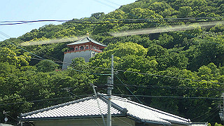 p5050087_thumb.jpg