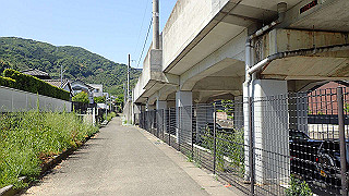 p5050098_thumb.jpg