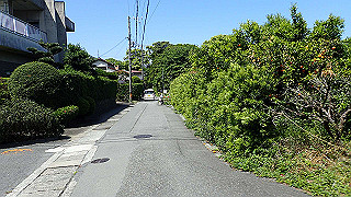 p5050102_thumb.jpg