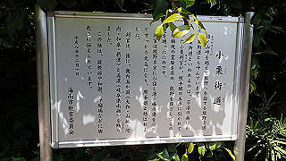 p5050104_thumb.jpg