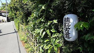 p5050105_thumb.jpg