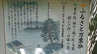 p5050110_thumb.jpg