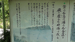 p5050115_thumb.jpg
