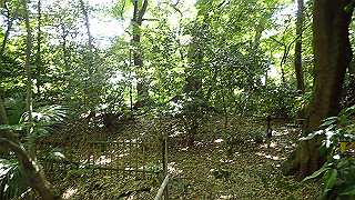 p5050121_thumb.jpg