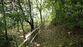 p5050122_thumb.jpg