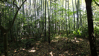 p5050123_thumb.jpg