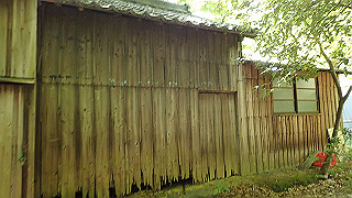 p5050124_thumb.jpg