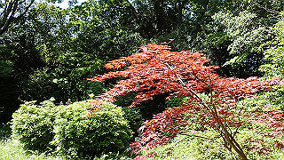 p5050125_thumb.jpg