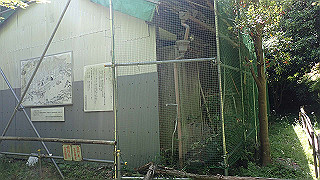 p5050126_thumb.jpg