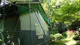 p5050131_thumb.jpg