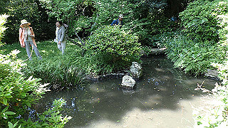p5050132_thumb.jpg