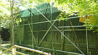 p5050134_thumb.jpg
