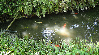p5050135_thumb.jpg