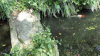 p5050136_thumb.jpg