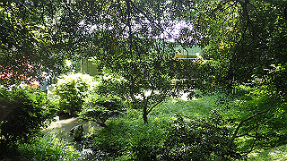p5050138_thumb.jpg