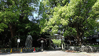 p5050140_thumb.jpg