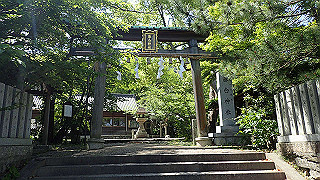 p5050143_thumb.jpg
