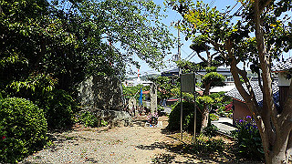 p5050144_thumb.jpg