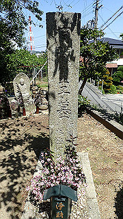 p5050147_thumb.jpg