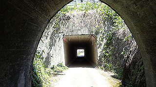p5050150_thumb.jpg