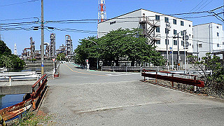 p5050152_thumb.jpg