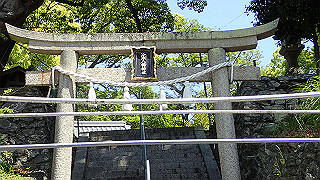 p5050159_thumb.jpg