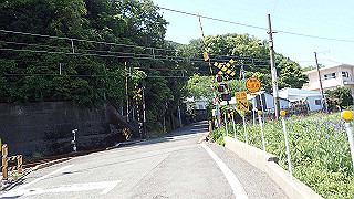 p5050161_thumb.jpg