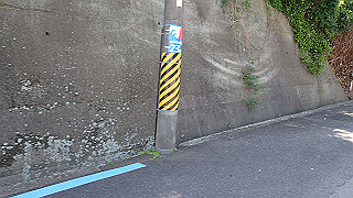 p5050164_thumb.jpg