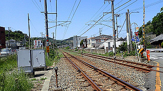 p5050186_thumb.jpg