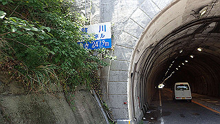 p5050189_thumb.jpg